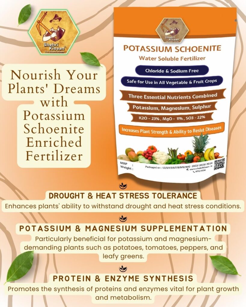 Potassium Schoenite Fertilizer Premium Water Soluble Crystalline