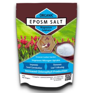 Epsom Salt