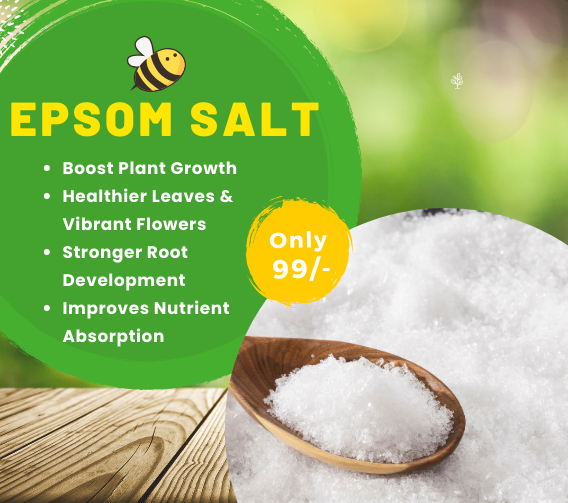 Epsom Salt (Magnesium Sulphate)