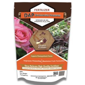 DAP fertilizer for plants