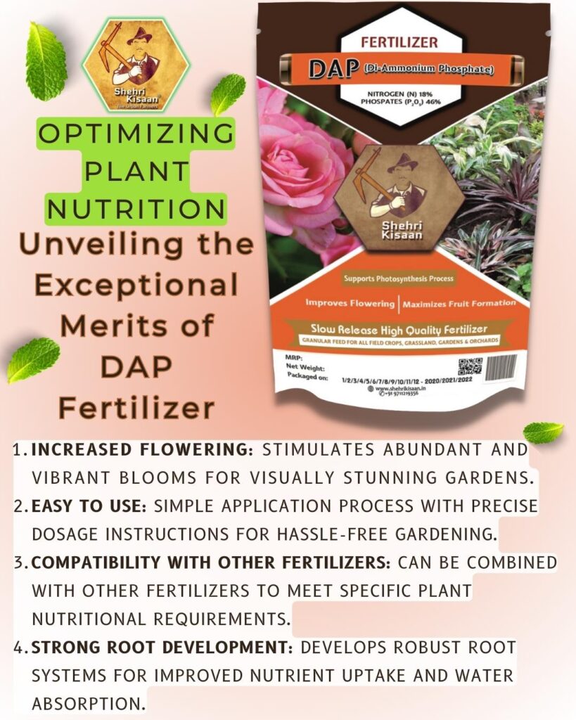 DAP Fertilizer For Plants SHEHRI KISAAN   DAP 819x1024 