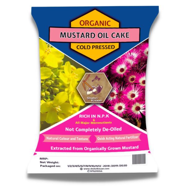 mustard cake powder