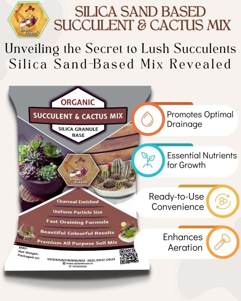 Silica Sand Based Succulent & Cactus Potting Soil Mix