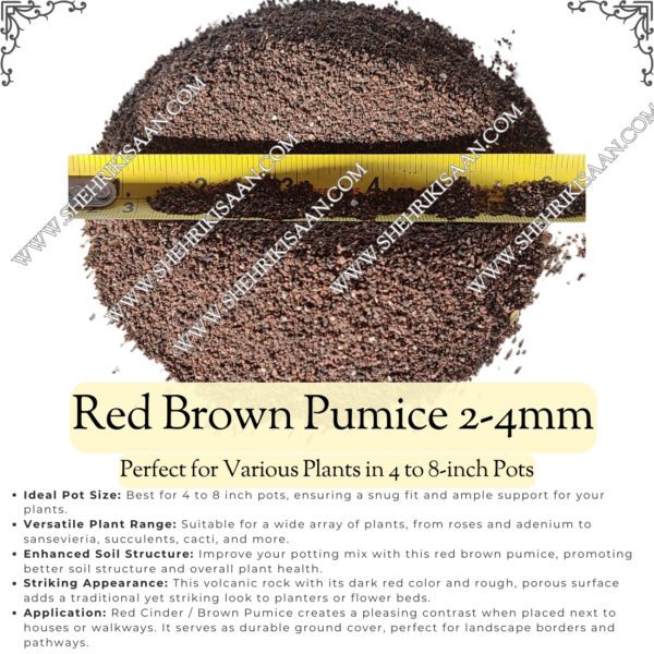 Red Brown Pumice