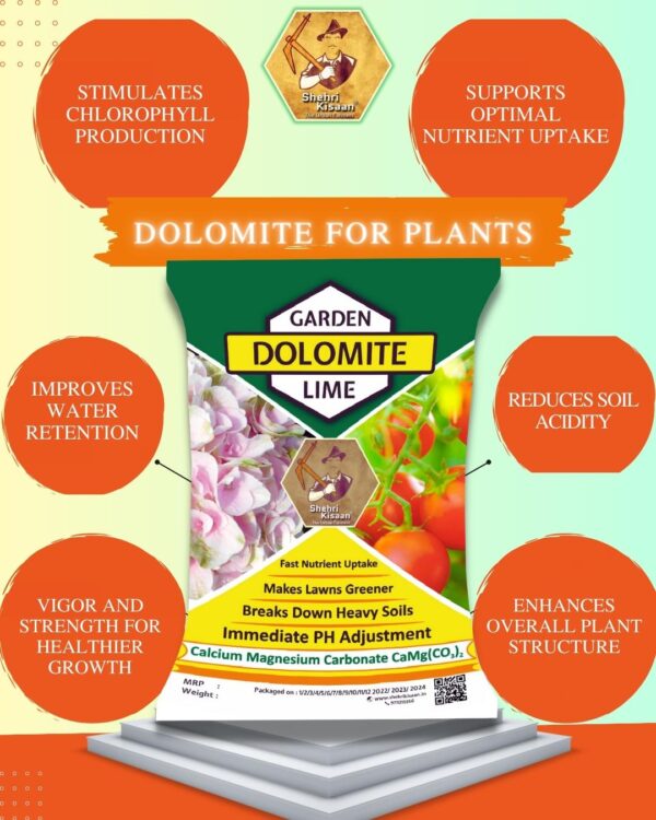 dolomite benefits for plants Dolomite for aquaculture