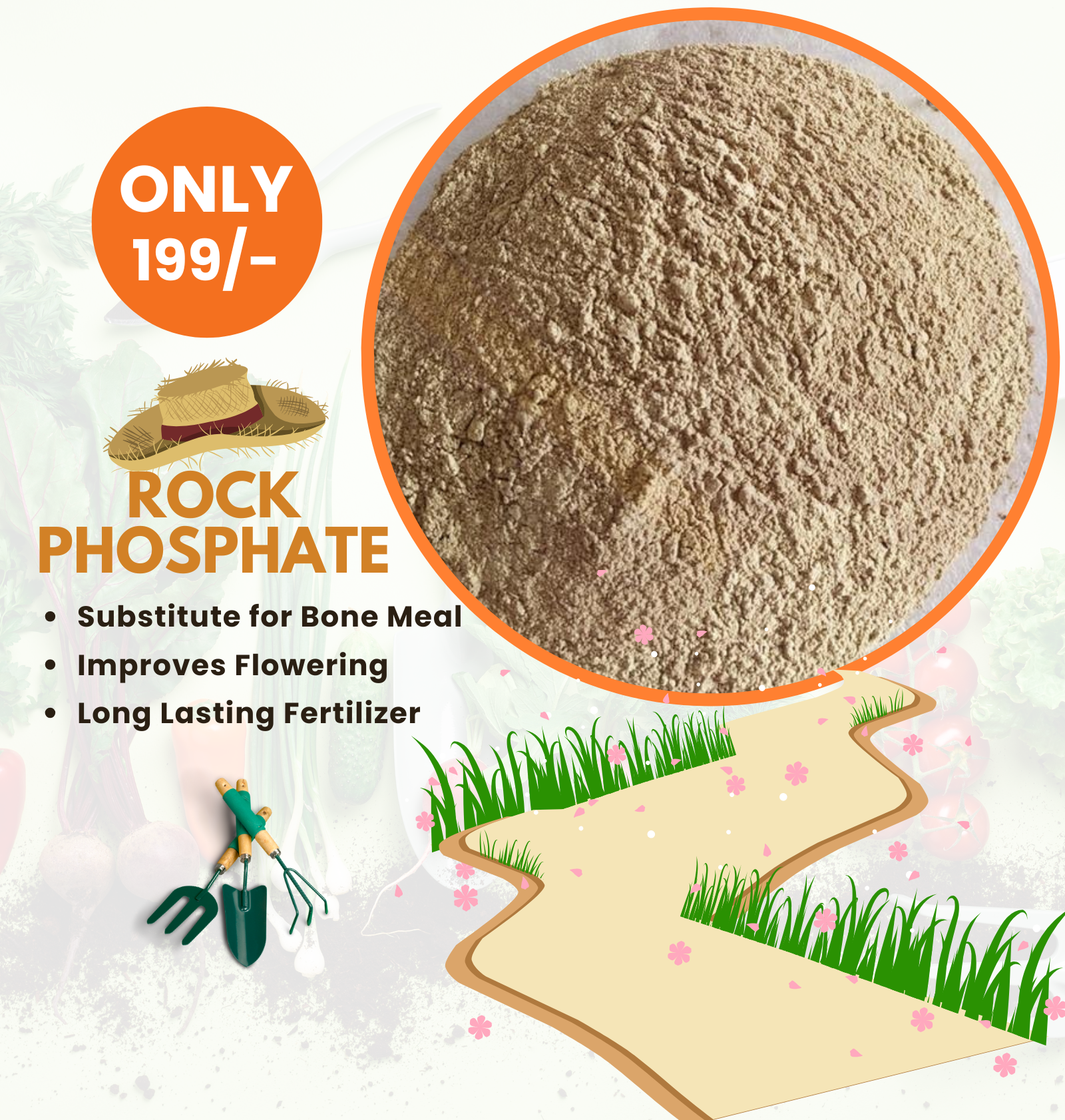 Rock Phosphate Natural Fertilizer