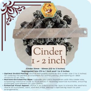 Cinder for plants online
